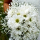 Vernon Area Florists