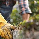 Marbin's Tree & Landscape Service INC - Tree Service