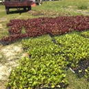 New Century CSA - Farms