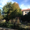 Washington Square Park gallery