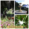 Punta Gorda History Park gallery