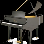 Woodville Piano Tuning & Repair