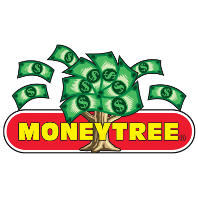 where to buy a money tree Buy Money Tree Plants Online main image 1