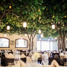 La Jolla Groves