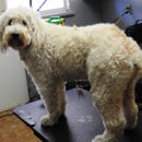 Sassafras Pet Spa, LLC - Dog & Cat Grooming & Supplies