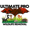 Ultimate Pro Wildlife Removal - Pest Control Services