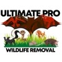 Ultimate Pro Wildlife Removal