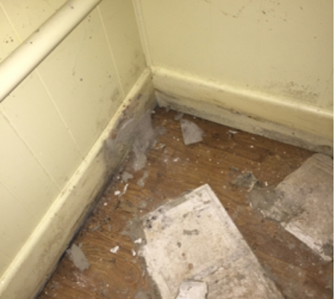 Mold Inspection & Testing Baltimore MD - Baltimore, MD