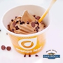 Orange Leaf Frozen Yogurt