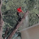 J & J Tree Services