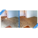 Pegasus Carpet Care - Carpet & Rug Cleaners