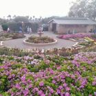 The Flower Fields at Carlsbad Ranch