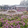 The Flower Fields at Carlsbad Ranch