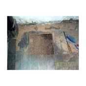Gallery Image Number 4