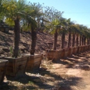 Hanson Palms - Garden Centers