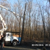 Blue Ridge Tree Services gallery