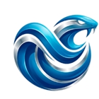 NetViper Interactive Inc