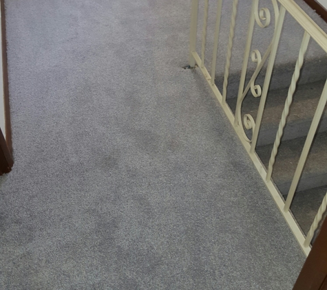 Professional Carpet and Upholstery Cleaning Plus - Secane, PA. After