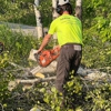 Lone Pine Tree Care gallery