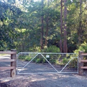 Gallery Image Number 6