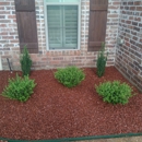 Creative Designs - Landscape Contractors