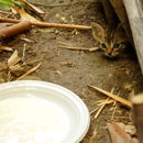 North Shore Wildlife - Pest Control Equipment & Supplies