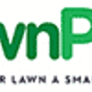 LawnPop ® Artificial Turf - Lawn Maintenance