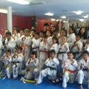 Team Fearless Academy of Martial Arts Texas - Martial Arts Instruction