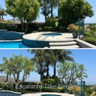 Escalante Tree Service