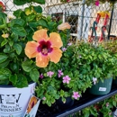 Tractor Supply Co - Garden Centers