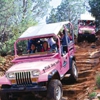 Pink Jeep Tours gallery