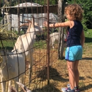 Natick Community Organic Farm - Farms