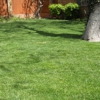 Herndon Lawn Service - Amarillo Texas gallery