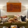 Carolina Integrative Counseling, P gallery
