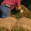 Red Hen Turf Farm Inc - Sod & Sodding Service