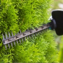 Ramos Tree Service - Arborists