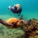 Ka'anapali Scuba - Diving Instruction
