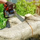 Friendly Tree Experts - Tree Service