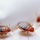 Absolute Exterminating Co - Pest Control Equipment & Supplies