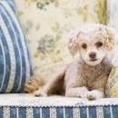 Irondequoit Animal Hospital - Veterinarians