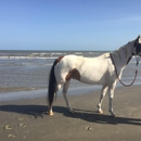Galveston Island Horse and Pony Rides - Horse Rentals
