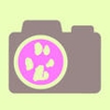 Mew-Mew House gallery