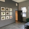 Star Buds gallery