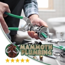 Mammoth Plumbing Services - Drainage Contractors