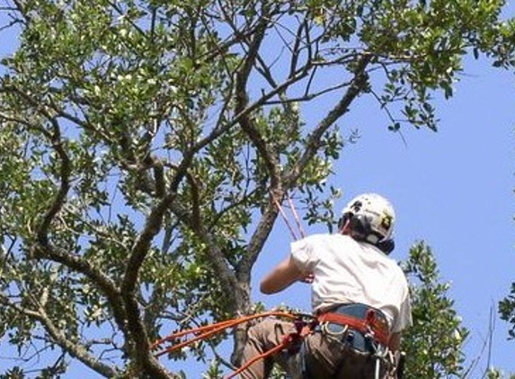 Pelton's Tree and Land Service - Gautier, MS