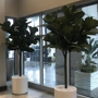 Artificial Bloom and Home Decor