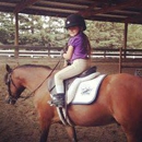 Ashley Mason Equestrian - Horse Training
