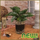 Oberer's Flowers Inc