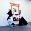 Brevard, Aikikai Aikido gallery