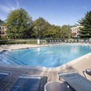 Versailles on the Lakes Oakbrook - Apartments